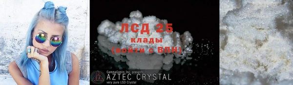 крисы Баксан