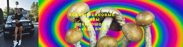 крисы Баксан