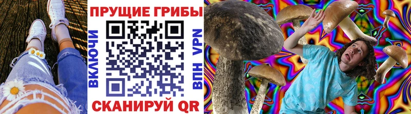Галлюциногенные грибы GOLDEN TEACHER  Нефтегорск 
